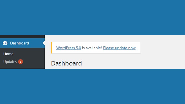 Should I upgrade to WordPress 5.0 today?