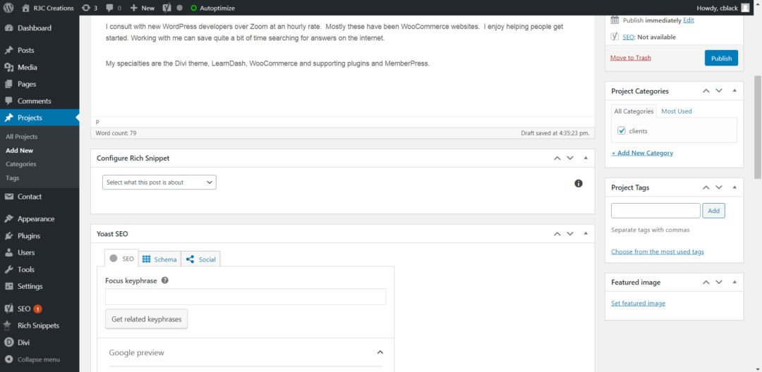 wordpress development