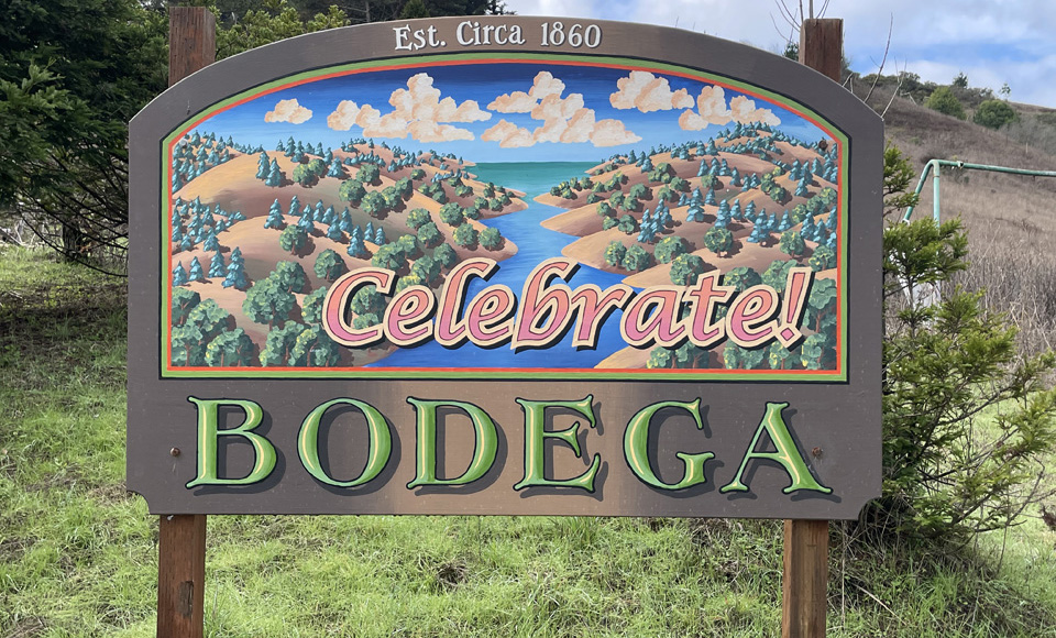 celebrate-bodega